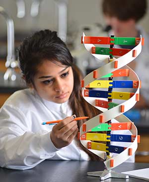 student studying dna