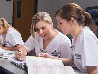 nursing students studying