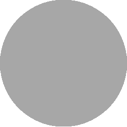 Decorative gray circle serving as a headshot placeholder